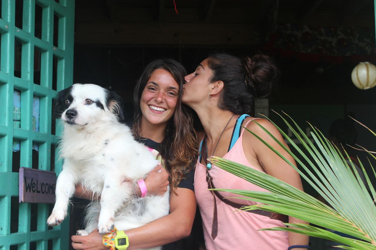 Coconut Hostel Bocas Town Ngoại thất bức ảnh