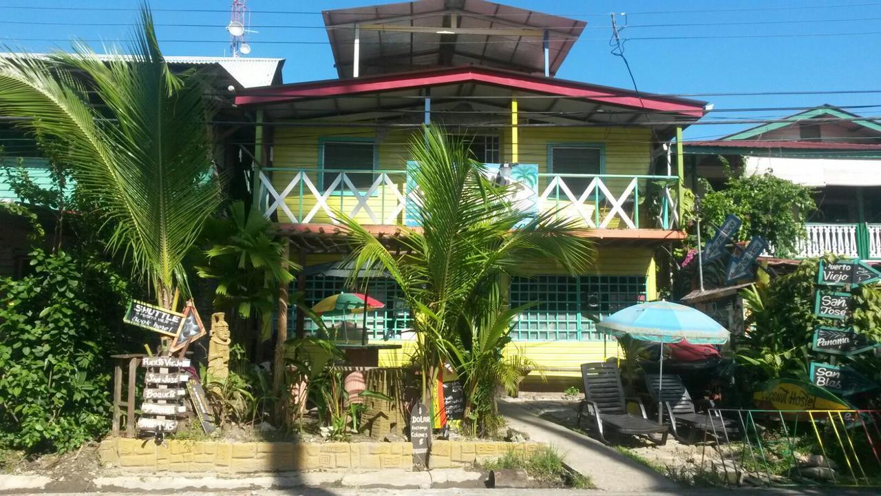 Coconut Hostel Bocas Town Ngoại thất bức ảnh