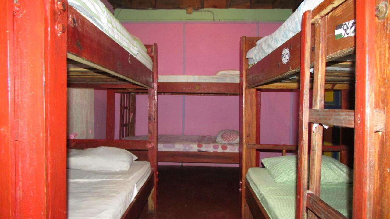Coconut Hostel Bocas Town Ngoại thất bức ảnh