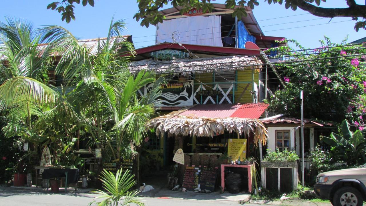 Coconut Hostel Bocas Town Ngoại thất bức ảnh
