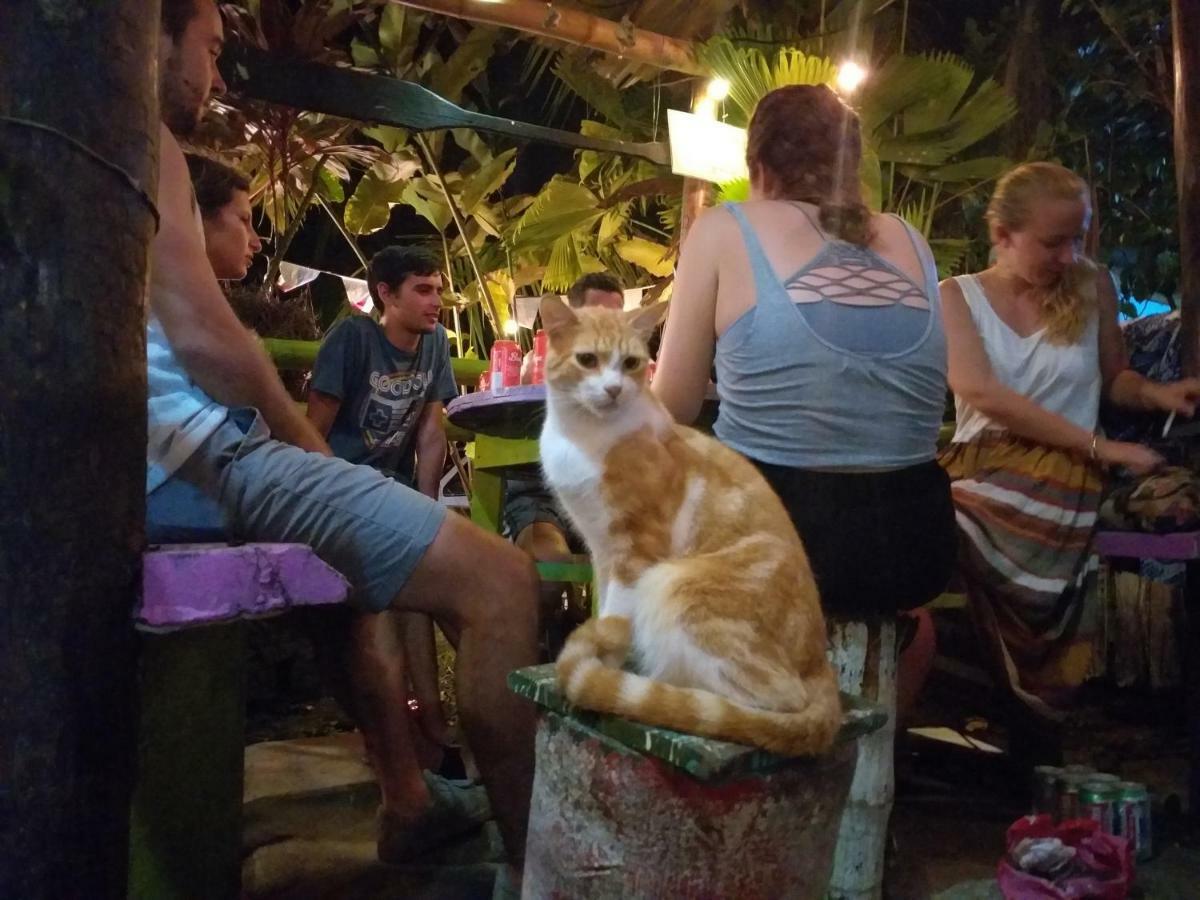 Coconut Hostel Bocas Town Ngoại thất bức ảnh