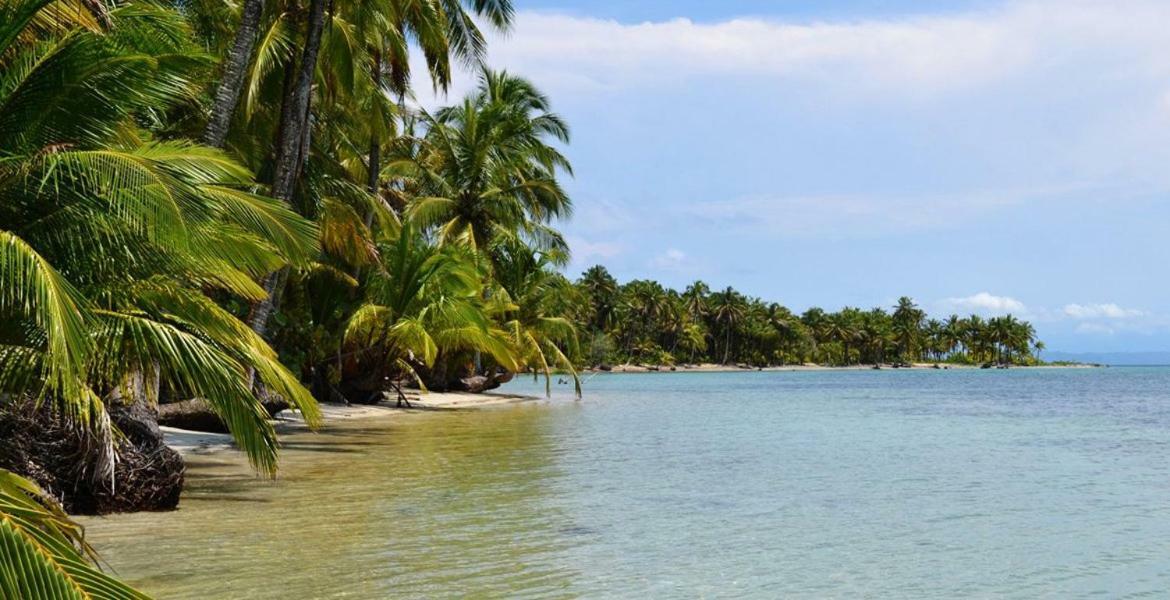 Coconut Hostel Bocas Town Ngoại thất bức ảnh