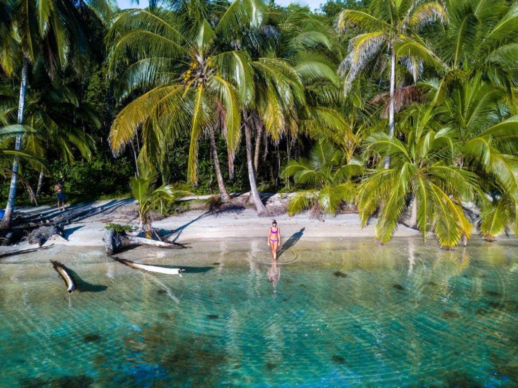 Coconut Hostel Bocas Town Ngoại thất bức ảnh
